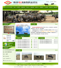 ̩ГPBֳ(zhun)I(y)